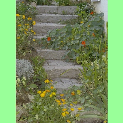 Leistenstein grau S10H25